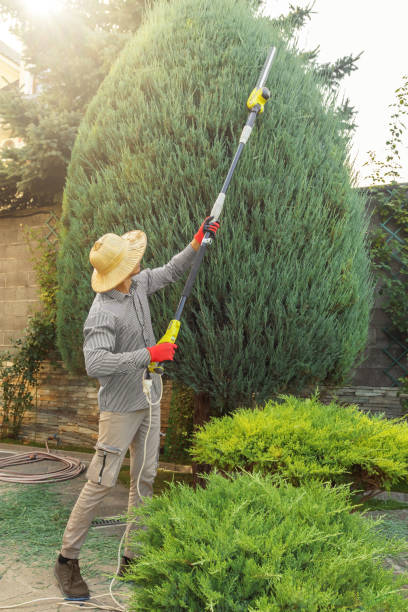 Lawn Grading and Leveling in Marietta, OH